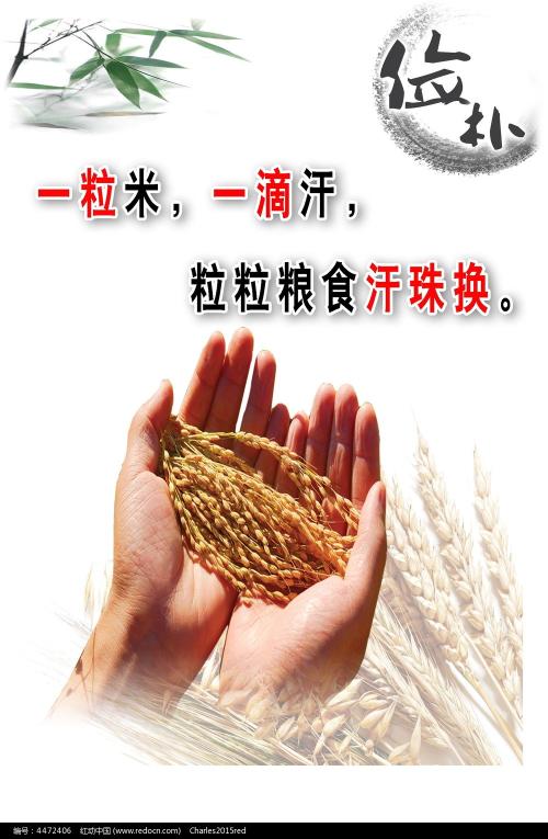 一比一仿印度尼西亚身份证